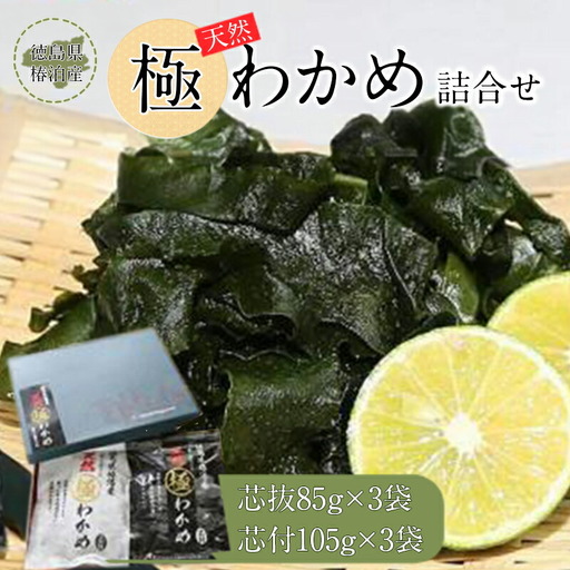 徳島県椿泊産天然極わかめ詰合せ 計570g（6袋）わかめ