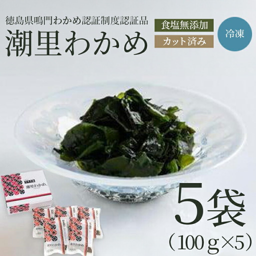わかめ 国産 500g 100g × 5袋 わかめ