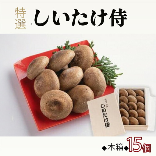 しいたけ侍 木箱 1箱15個入り しいたけ