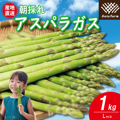 アスパラガス Lサイズ 1kg アスパラガス