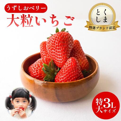 いちご 苺 30粒 3L サイズ うずしおベリー いちご