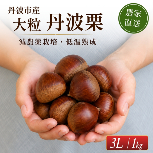 〈予約 期間限定〉熟成丹波栗 3L 1kg 栗