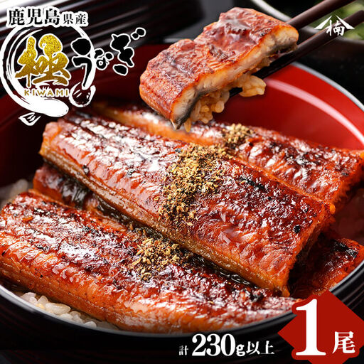 楠田の極うなぎ 蒲焼き 1尾(230g以上) うなぎ 鰻 ウナギ 国産 鹿児島県産 九州産 蒲焼き 冷凍 うな重 ひつまぶし a3-184