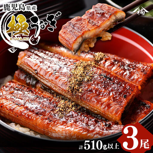 楠田の極うなぎ 蒲焼き 170g以上×3尾(計510g以上) うなぎ 鰻 ウナギ 国産 鹿児島県産 九州産 蒲焼き 冷凍 うな重 ひつまぶし b2-010