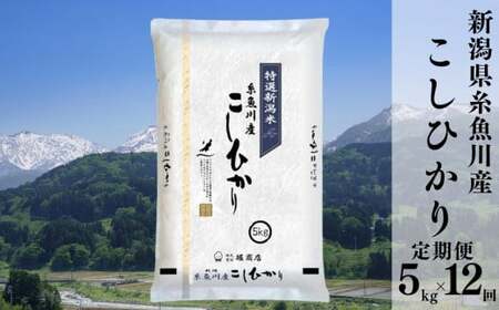 令和6年産新米【定期便】新潟県糸魚川産コシヒカリ 5kg×12ヶ月 計60kg 名水と翡翠の郷 2024年産 堀敬商事【米 お米 白米 こめ コメ ご飯 精米 ライス ブランド米 こしひかり 新潟県 糸魚川 2024 米どころ新潟 食品 人気 おすすめ 5キロ 12回 12か月 毎月お届け】堀敬商事(株)糸魚川営業所