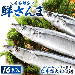 期間限定 鮮 さんま 16本入 (1尾 100g～120g) ＼ 生さんま ／