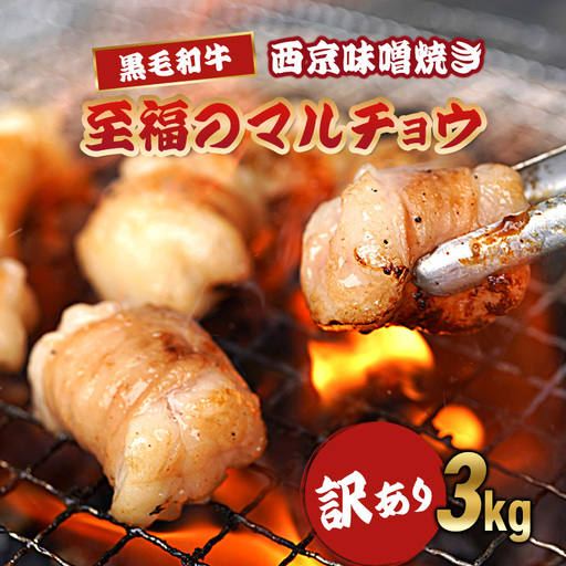 訳あり 黒毛和牛 丸腸 3kg 西京味噌焼き （100g×30） ホルモン マルチョウ