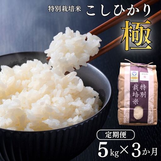 定期便 コシヒカリ極 5kg×3ヶ月 特別栽培米 令和8年 新潟県 三条市 アグリ巧房 コシヒカリ