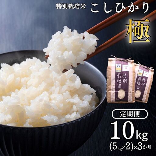 定期便 3ヵ月 コシヒカリ「極」10kg(5kg×2)×3ヶ月 特別栽培米 令和8年産 コシヒカリ 新潟県産 アグリ巧房
