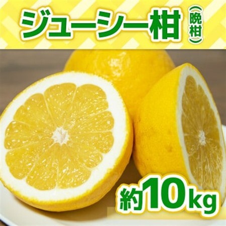 【2027年3月より順次発送】熊本県産　ジューシーオレンジ　約10kg(益城町)【1437713】