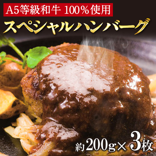 A5等級和牛100% 肉や大善スペシャルハンバーグ(2116)