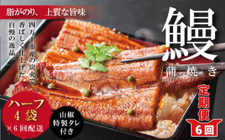 26-1057.[6回定期便]お楽しみ企画 6ヵ月連続[四万十食品]うなぎ蒲焼 ハーフ4袋/BC