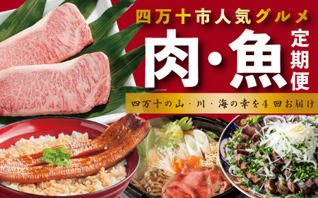 26-067．【4ヵ月連続定期便】四万十市人気魚介＆お肉返礼品