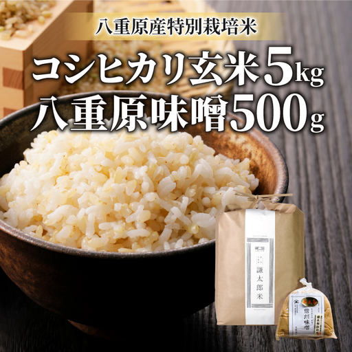 【令和8年産 新米】八重原産コシヒカリ 玄米「謙太郎米」5kgと 大桂商店 信州味噌「八重原味噌」500gのセット｜特別栽培米（減農薬・減化学肥料栽培）【太陽と大地】