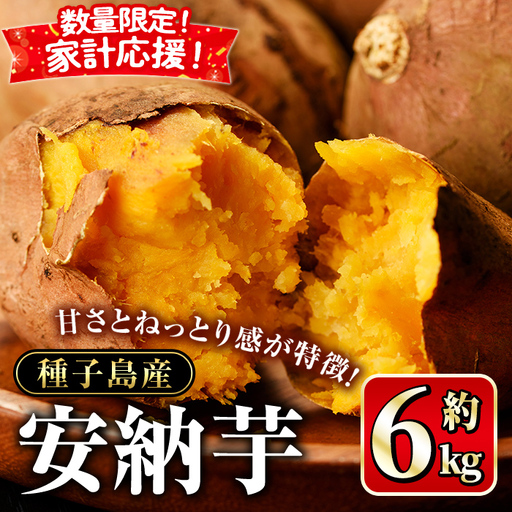 安納芋 さつまいも 6kg 生活 家計 応援 [種子島安納大地]n223-z