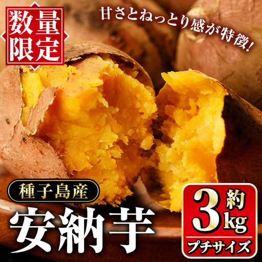 安納芋 さつまいも プチサイズ3kg [種子島安納大地]n224