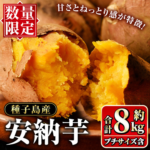 安納芋 さつまいも 計8kg (S・M・L +プチサイズ) 【種子島安納大地】n225
