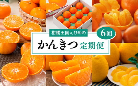 [愛媛県共通返礼品][定期便]愛媛の柑橘定期便(全6回)(日の丸みかん・紅まどんな・いよかん・不知火(デコポン)・せとか・河内晩柑)◇ ※2026年11月〜発送