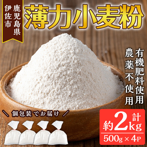 isa480《毎月数量限定》あんしん小麦粉・薄力粉(約500g×4袋・計約2kg） 小麦粉 小麦 薄力粉 薄力小麦粉 鹿児島県 伊佐市 お菓子作り 料理 有機肥料 農薬不使用【しげふみファーム】