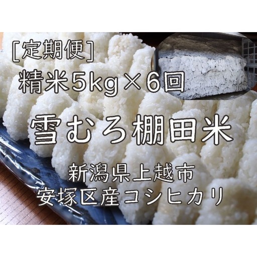 [定期便]棚田米 コシヒカリ 精白米 5kg×6回 コシヒカリ