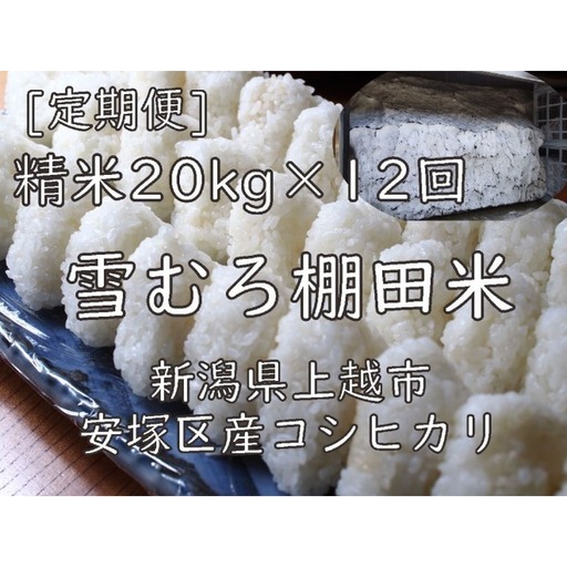【定期便】棚田米 コシヒカリ 精白米 20kg×12回 コシヒカリ