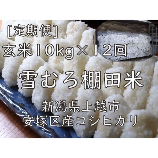 【定期便】棚田米 コシヒカリ 玄米 10kg×12回 コシヒカリ