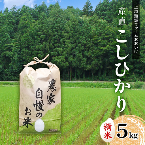 米 上越頸城産 産直こしひかり精米5kg【産地限定】 お米 コメ 精米 上越 ぱるえむ