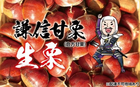 謙信甘栗の氷蔵熟成栗 1kg[氷蔵熟成栗謙信甘栗] 新潟 新潟県産