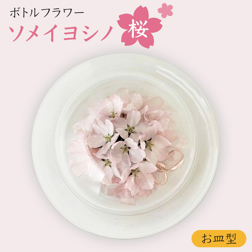 ボトルフラワー 桜 ソメイヨシノ お皿型 置物 桜