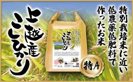 コシヒカリ 上越産 新潟県 お米 コシヒカリ 5kg