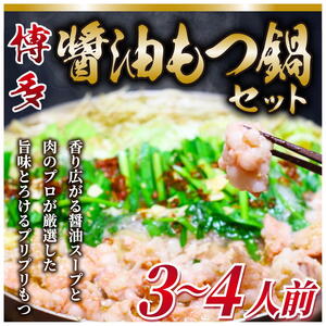 博多もつ鍋 3〜4人前 醤油味 a9434 もつ鍋