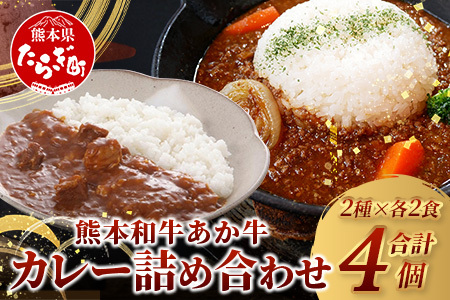 熊本和牛 あか牛 カレー 詰め合わせ ≪あか牛カレー180g×2・あか牛100％挽肉カレー220g×2≫ 046-0625