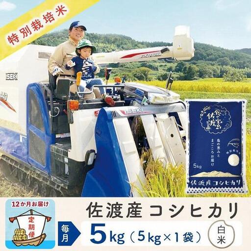 【定期便 5kg 12回】 白米 コシヒカリ 令和8年 計 60キロ | 新潟県 佐渡市 コシヒカリ