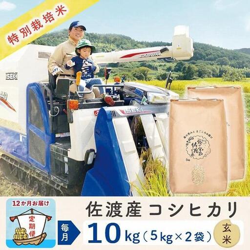 [定期便 10kg 12回] 玄米 コシヒカリ 令和8年 計 120キロ | 新潟県 佐渡産 コシヒカリ
