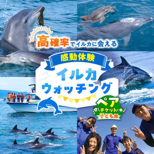 南島原 イルカウォッチング  子ども用 ペアチケット / チケット ちけっと 体験型 観光チケット いるか イルカ イルカ体験 貸し切り いるか イルカ / 南島原市 / 南島原イルカウォッチング [SAE004]