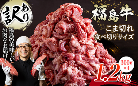 ＜訳あり＞限定 国産黒毛和牛 こま切れ食べ切りサイズ300g×4パック 合計1.2kg 小間切れ 牛肉 小分け お肉 F23R-551