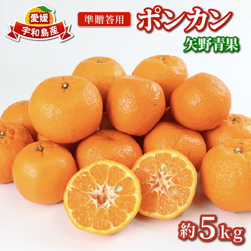 準 贈答用 ポンカン 5kg 矢野青果 ポンカン B012-171007
