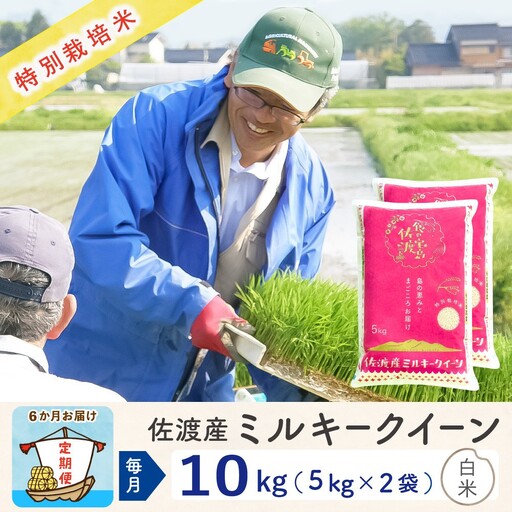 【令和8年産新米 6ヶ月】佐渡島産ミルキークイーン 精米 10kg 特別栽培米