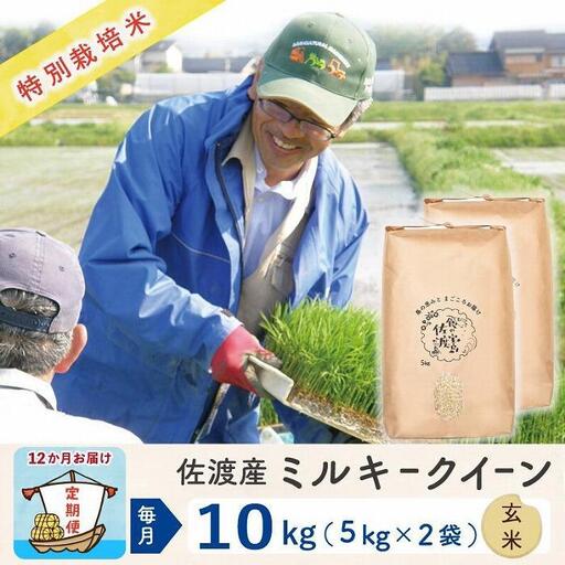 [定期便 新米 10kg 12回] 玄米 令和8年 計 120キロ | 新潟県 佐渡市 ミルキークイーン