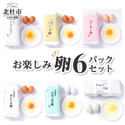 中村農場 お楽しみたまご6パックセット [h024]