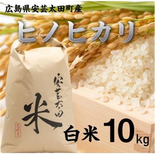 【令和8年産】ヒノヒカリ　白米10kg【1441155】
