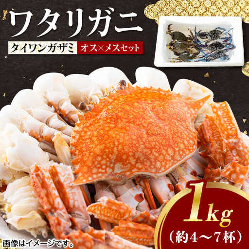 【先行予約】【2026年8月以降順次発送】豊前海産 タイワンガザミ 1kg (4‐7杯前後) オス メス セット ワタリガニ 渡り蟹 [ABCB002] 