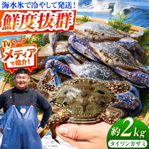 豊前海産 タイワンガザミ 2kg (8～14杯前後) オス メス セット 《築上町》【明青丸】 ワタリガニ 渡り蟹  [ABCB003] 
