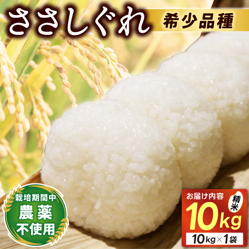 ★令和7年産★ ささしぐれ 10kg (精米) DE007
