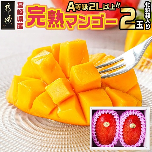 [先行受付!]宮崎県産完熟マンゴー(A等級) [2L以上×2玉]≪2027年5月中旬以降順次お届け≫〔22-0101〕_(都城市)