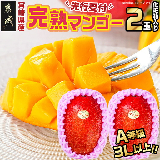 [先行受付!]宮崎県産完熟マンゴー(A等級) [3L以上×2玉]化粧箱入り≪2027年5月中旬以降順次お届け≫〔AE-0112〕_(都城市) 宮崎県産 完熟マンゴー 化粧箱入り 3Lサイズ 糖度13度以上 A等級品 南国宮崎