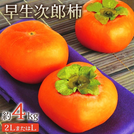 柿 早生次郎柿 約4kg | 先行予約 柿 埼玉県 杉戸町