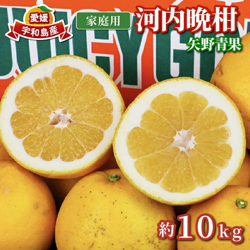 家庭用 河内晩柑 10kg 矢野青果 河内晩柑 B012-171013
