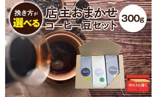 コーヒー 厳選コーヒー豆3種類セット(100g×3種類）【hgo003-d】