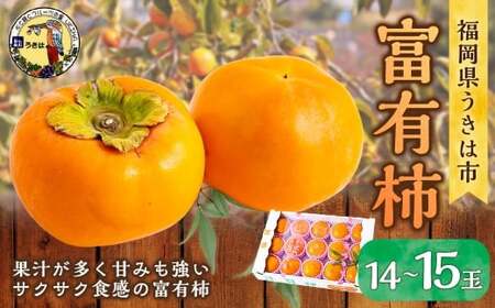 【先行予約】道の駅うきは 富有柿 14玉から15玉 2026年11月上旬から11月下旬 出荷予定